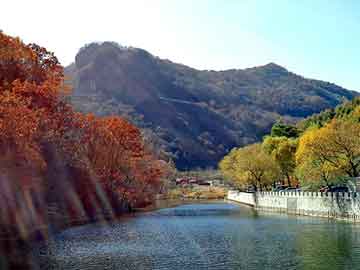 管家婆黑白马报图库，途观黑心棉